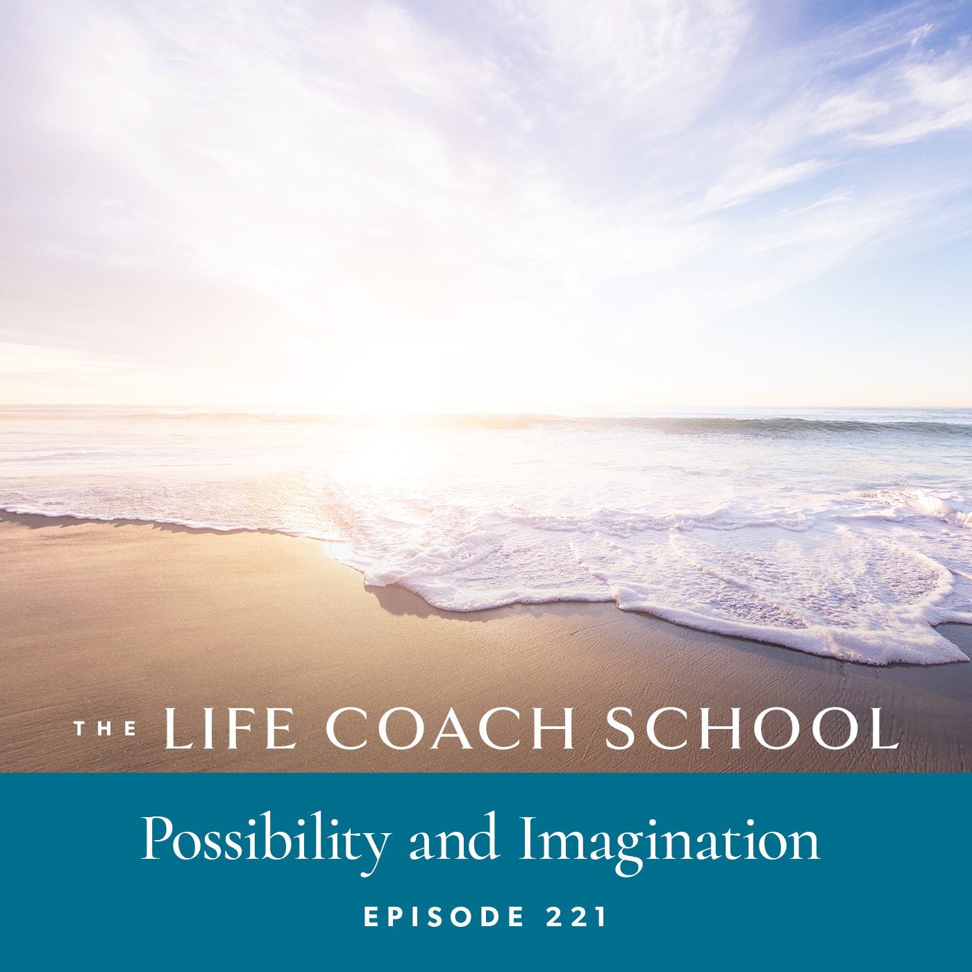 The Life Coach School Podcast with Brooke Castillo | Episode 221 | Possibility and Imagination