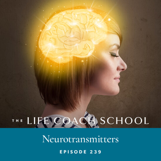 The Life Coach School Podcast with Brooke Castillo | Episode 239 | Neurotransmitters