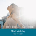 The Life Coach School Podcast with Brooke Castillo | Episode 317 | Mind Visibility