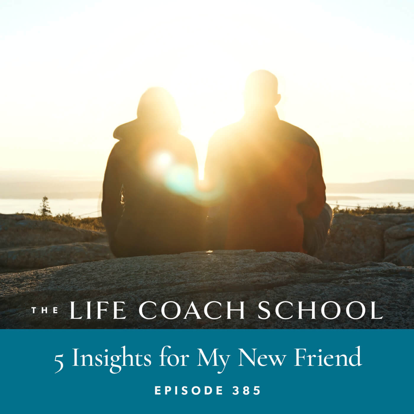 The Life Coach School Podcast with Brooke Castillo | 5 Insights for My New Friend
