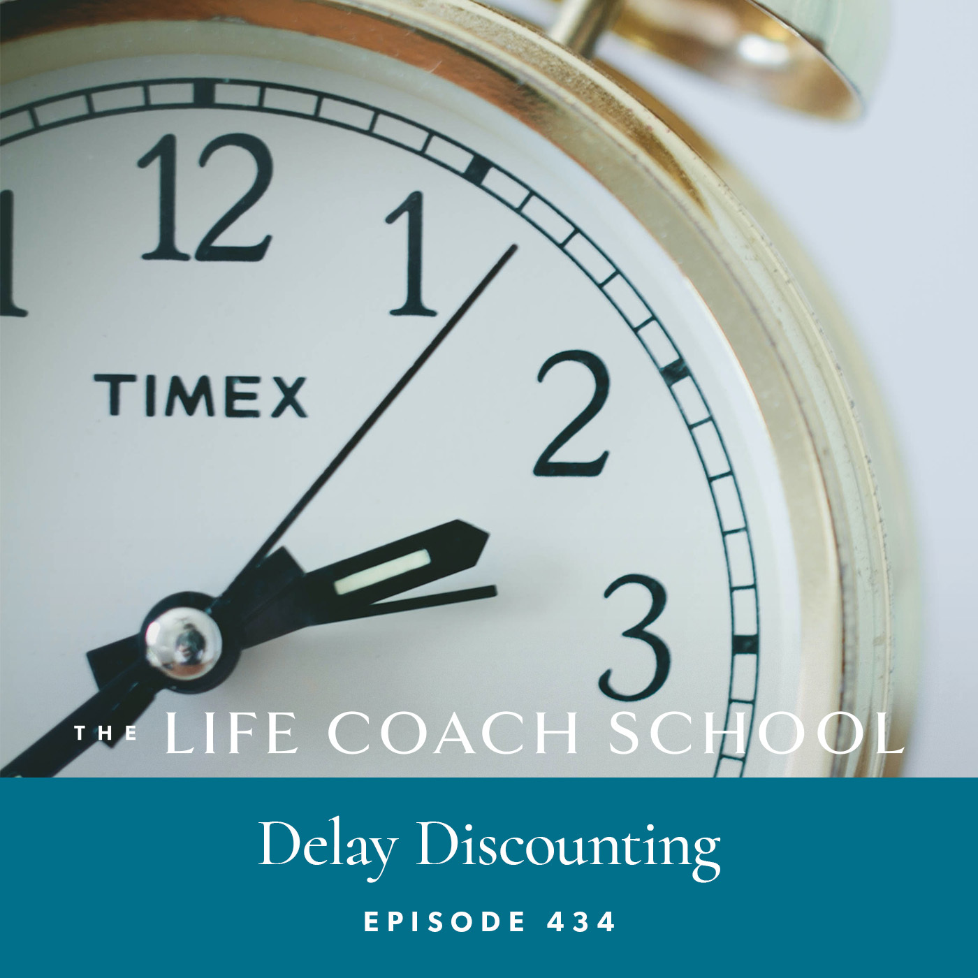 Ep #434: Delay Discounting