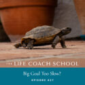 The Life Coach School Podcast with Brooke Castillo | Big Goal Too Slow?